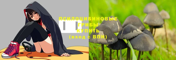 герыч Лагань