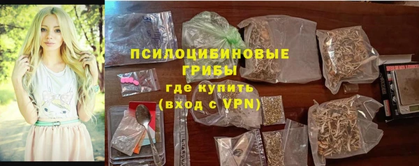 молекула духа Лабытнанги