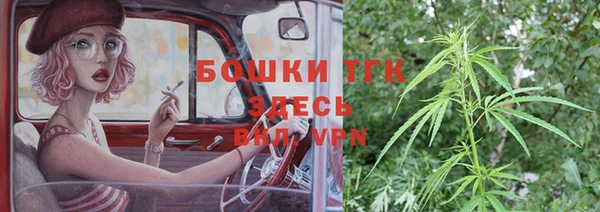 молекула духа Лабытнанги