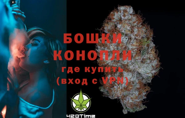 молекула духа Лабытнанги