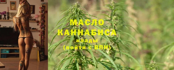 молекула духа Лабытнанги