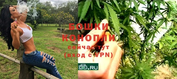 spice Ладушкин