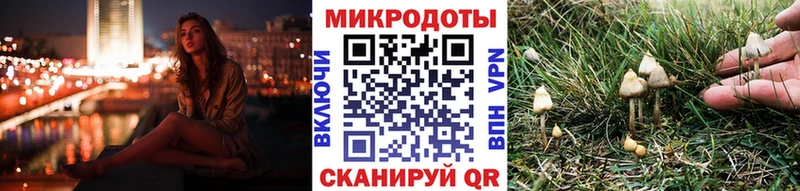 Псилоцибиновые грибы GOLDEN TEACHER  где найти   Первоуральск 