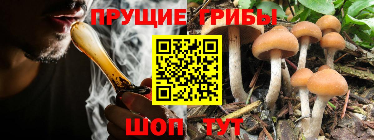 Галлюциногенные грибы мицелий  наркошоп  Первоуральск  Галлюциногенные грибы GOLDEN TEACHER  Вход с VPN 