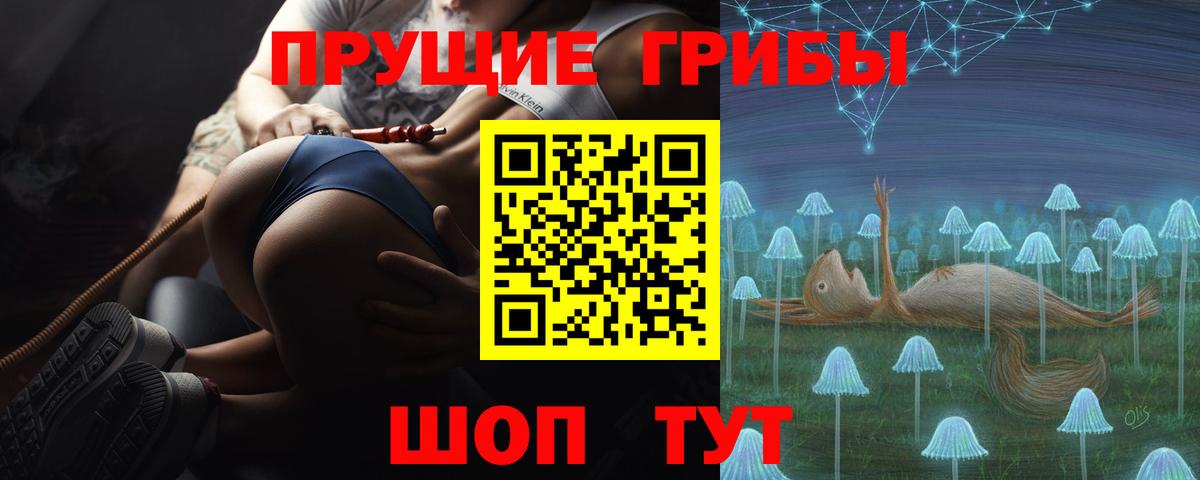 Галлюциногенные грибы Psilocybe Первоуральск